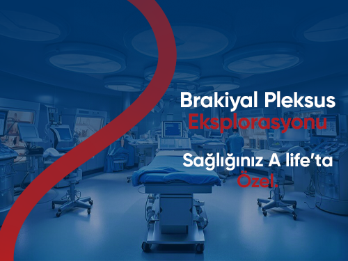 Brakiyal Pleksus Eksplorasyonu